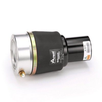 LUFTFEDER FAHRWERK Arnott A2571 54