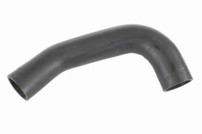 FURTUN EAR SUPRAALIMENTARE