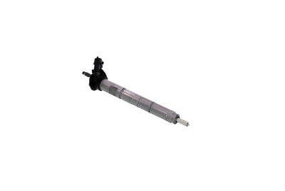 INJECTOR REMANTE 002003001368R 50