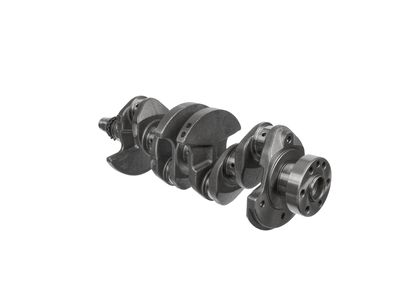 ARBORE COTIT ET ENGINETEAM HK0228 20