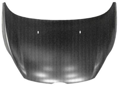 Capota motor MTR 30063384