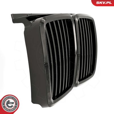 GRILA RADIATOR ESEN SKV 66SKV146 3