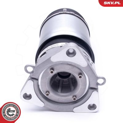 Pneumatinės spyruoklės statramstis