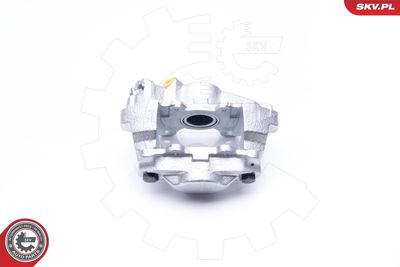 Brake Caliper 34SKV903