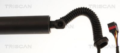 AMORTIZOR PORTBAGAJ TRISCAN 871029333 3