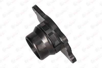 FLANSA LICHID RACIRE BIRTH 81798 3