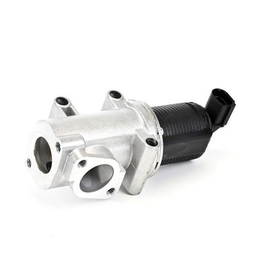 SUPAPA EGR DELPHI EG1030212B1 11