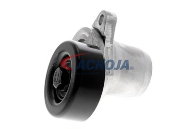 INTINZATOR CUREA CUREA DISTRIBUTIE ACKOJA A520078 56