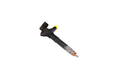 INJECTOR REMANTE 002003002094R 50