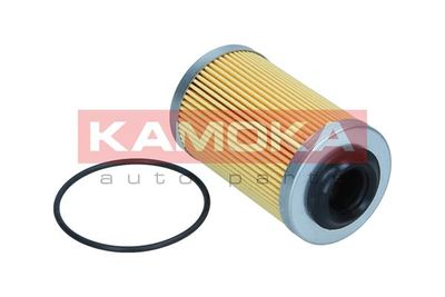 Oil Filter F125501