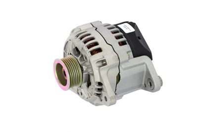 GENERATOR / ALTERNATOR REMANTE 011003000033R 10