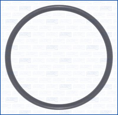 ETANșARE CARCASă CLAPETă