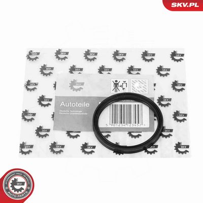 INEL ETANSARE FURTUN AER SUPRAALIMENTARE