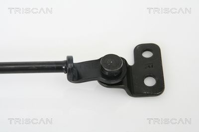 AMORTIZOR PORTBAGAJ TRISCAN 871018221 2