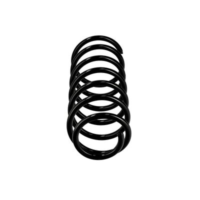 ARC SPIRAL EIBACH R11061 13