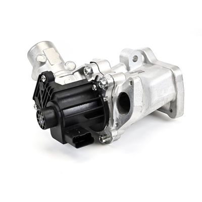 SUPAPA EGR DELPHI EG1043712B1 11