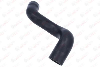 FURTUN EAR SUPRAALIMENTARE BIRTH 55817 9