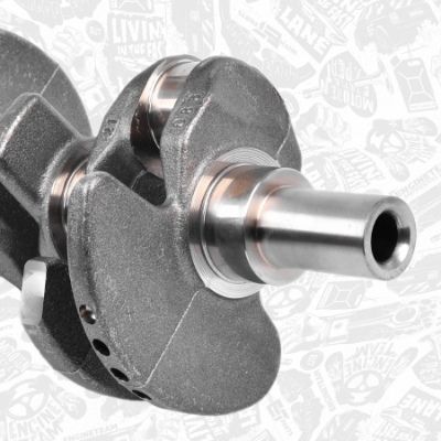 ARBORE COTIT ET ENGINETEAM HK0214 3