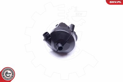 Repair Kit, crankcase ventilation 31SKV099