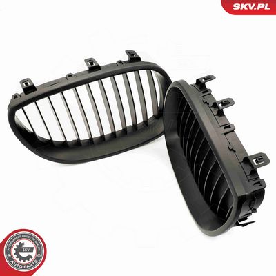 GRILA RADIATOR ESEN SKV 66SKV167 3