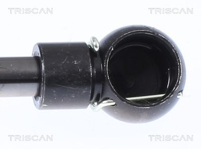 Amortizor portbagaj TRISCAN 8710 23240