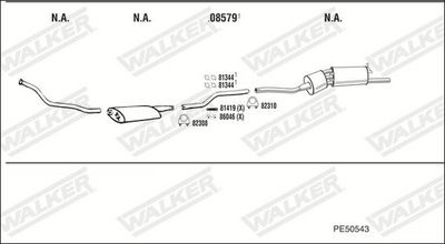 SISTEM DE ESAPAMENT WALKER PE50543