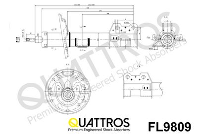 AMORTIZOR DAVID VASCO FL9809 1