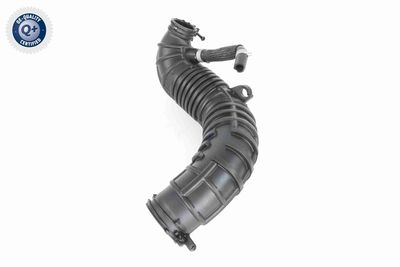 FURTUN EAR SUPRAALIMENTARE ACKOJA A520641 4