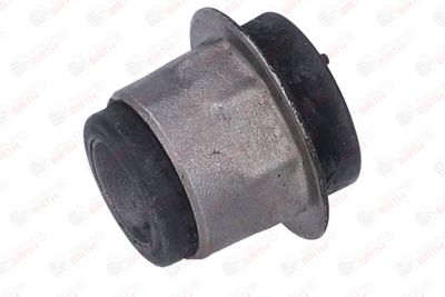 SUPORT TRAPEZ BIRTH 2008 9