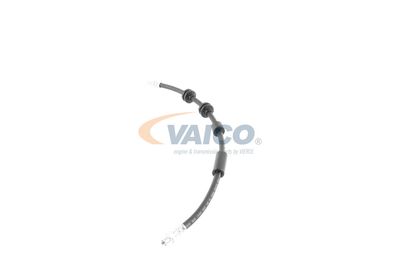 FURTUN FRANA VAICO V202640 13