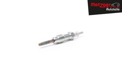 BUJIE INCANDESCENTA METZGER AUTOTEILE H1738 33