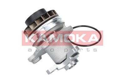 Water Pump, engine cooling T0222