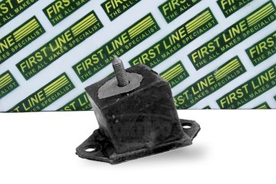окачване, двигател FIRST LINE FEM3387
