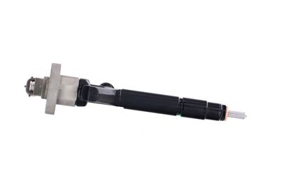 INJECTOR REMANTE 002003000191R 41