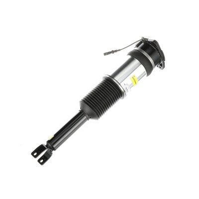 LUFTFEDERBEIN Arnott AS2966 73