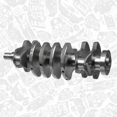 ARBORE COTIT ET ENGINETEAM HK0205 2