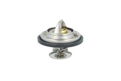 TERMOSTAT LICHID RACIRE NRF 725478 36