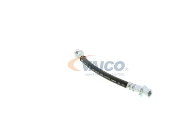 FURTUN FRANA VAICO V404114 43