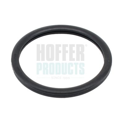 уплътнение, термостат HOFFER 01656