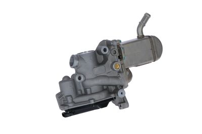 SUPAPA EGR NRF 48207 21