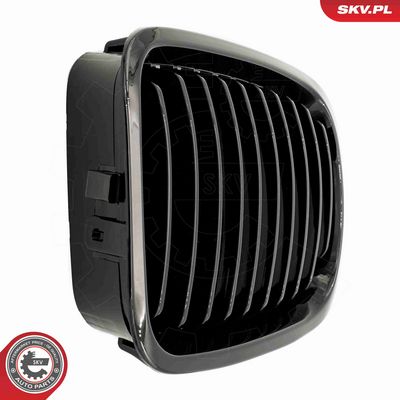 GRILA RADIATOR ESEN SKV 66SKV060 5