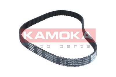 Timing Belt 7000051