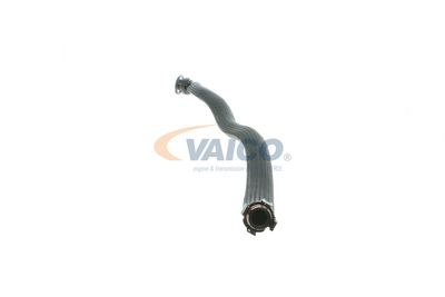 FURTUN AERISIRE CHIULASA VAICO V202285 12