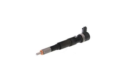 INJECTOR REMANTE 002003001174R 62