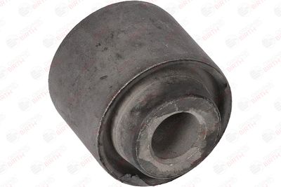 SUPORT TRAPEZ BIRTH 2957 9