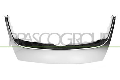 ZIER-/SCHUTZLEISTE KüHLERGITTER