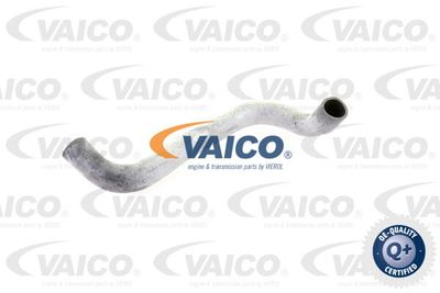 Шланг радиатора VAICO V30-0221 для MERCEDES-BENZ /8