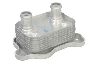 Chłodnica oleju, olej silnikowy THERMOTEC D4B029TT