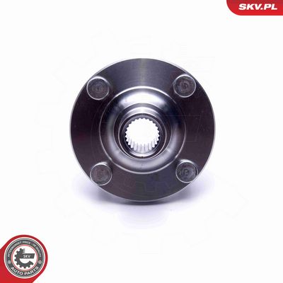 SET RULMENT ROATA ESEN SKV 29SKV517 2