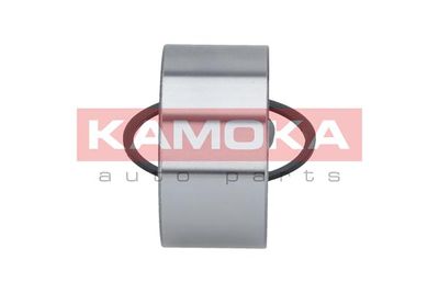 Wheel Bearing Kit 5600014